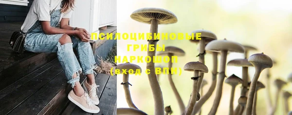 MDMA Premium VHQ Каменногорск