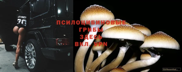 MDMA Premium VHQ Каменногорск