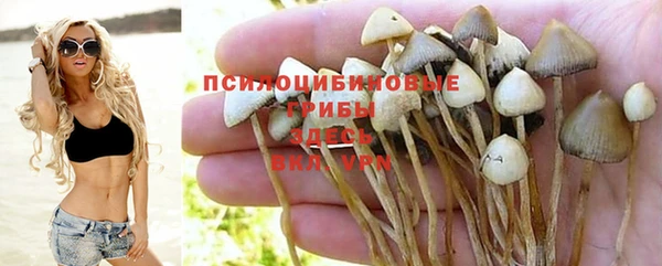 MESCALINE Каменка
