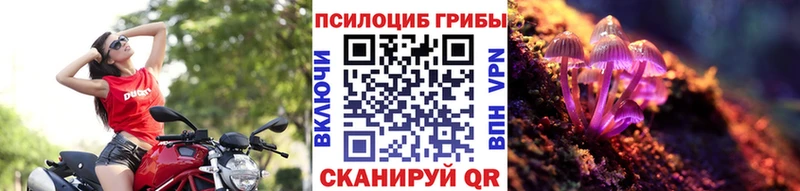 Купить закладки  Каргополь  Галлюциногенные грибы мицелий 