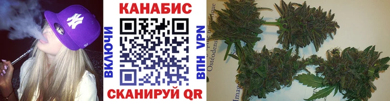 Купить закладки  Каргополь  МАРИХУАНА OG Kush 